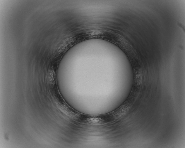 X0000101660654200807241418