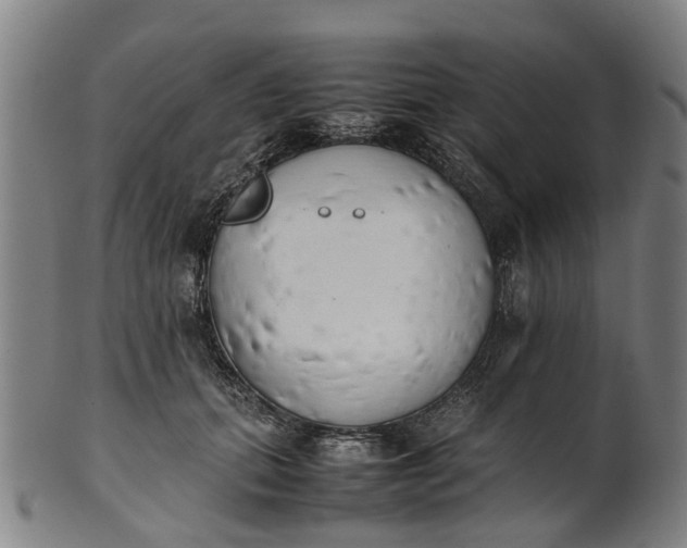 X0000101660655200807241418