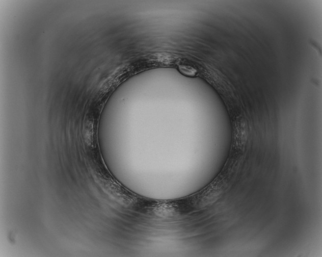 X0000101660656200807241418