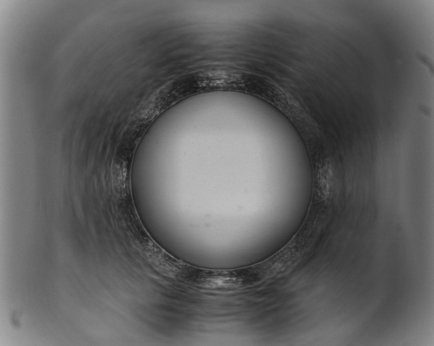 X0000101660657200807241418