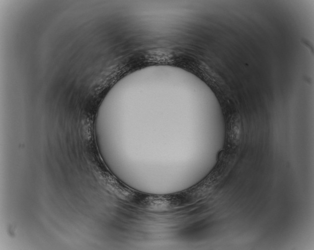 X0000101660658200807241418