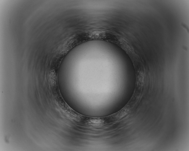 X0000101660659200807241418