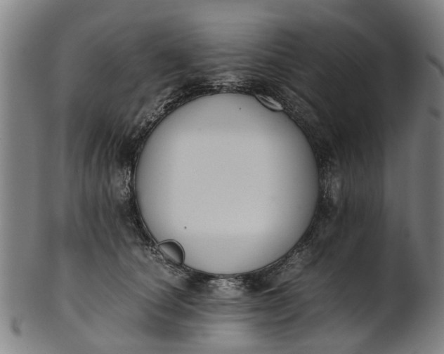 X0000101660660200807241418