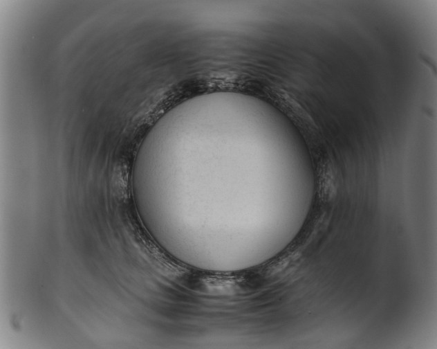 X0000101660661200807241418