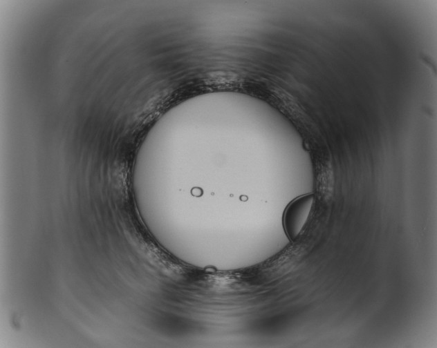 X0000101660662200807241418