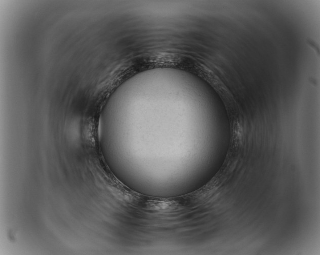 X0000101660663200807241419