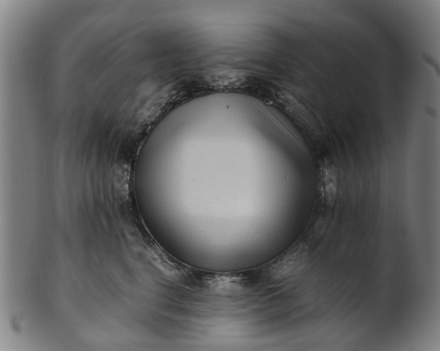 X0000101660664200807241419