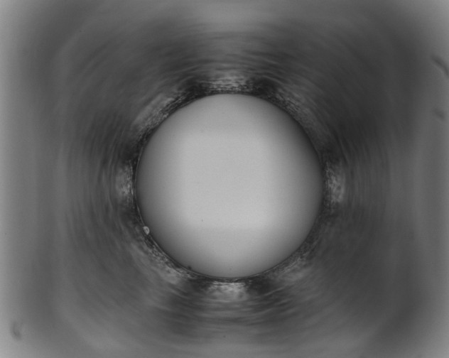 X0000101660665200807241419