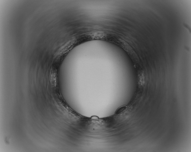 X0000101660666200807241419