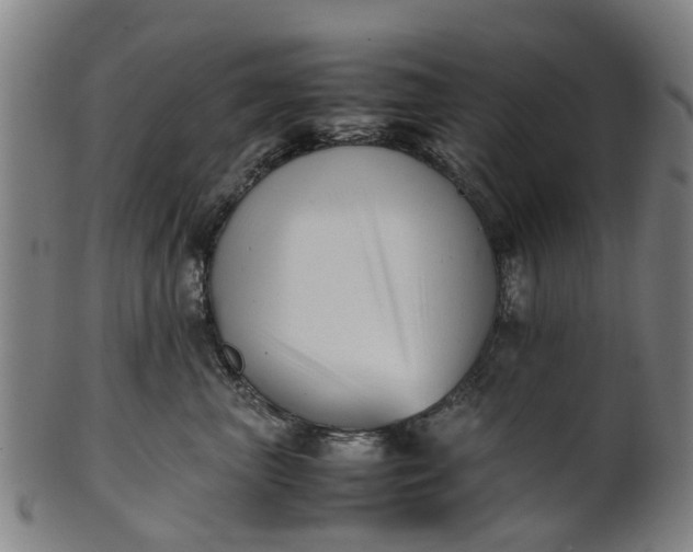 X0000101660667200807241419