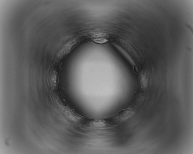 X0000101660668200807241419