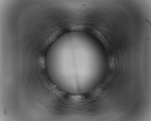 X0000101660669200807241419