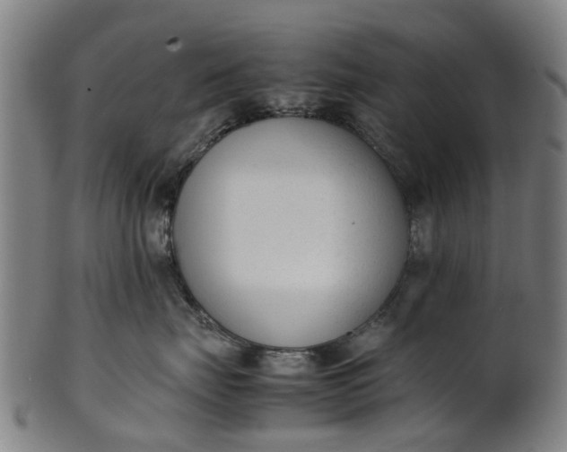 X0000101660671200807241419