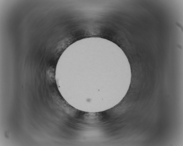 X0000101660672200807241419