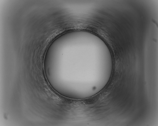 X0000101660673200807241418