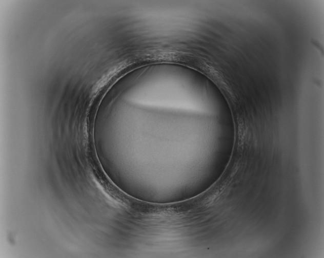 X0000101660674200807241418