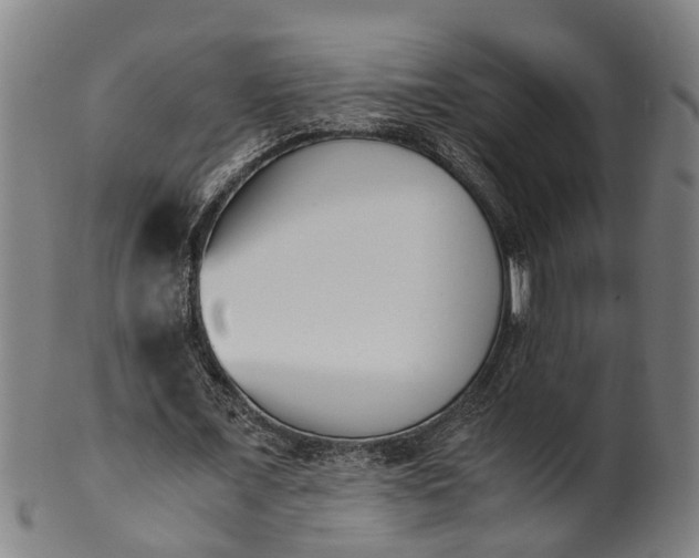 X0000101660675200807241418