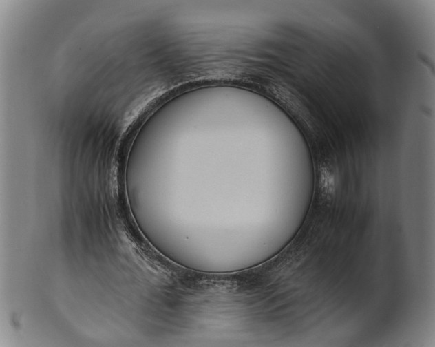 X0000101660676200807241418