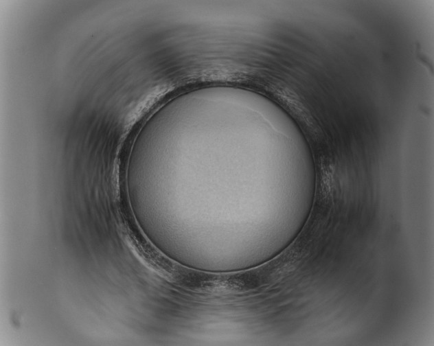 X0000101660678200807241418