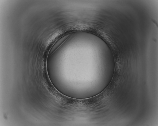 X0000101660679200807241418