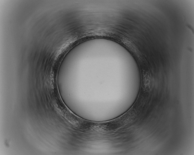 X0000101660680200807241418