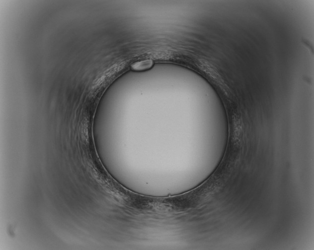 X0000101660681200807241418