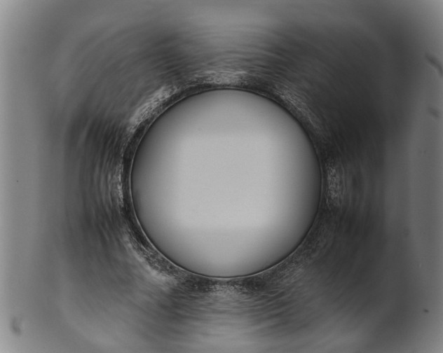 X0000101660682200807241418