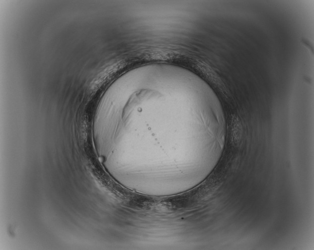 X0000101660683200807241418