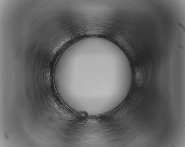 X0000101660684200807241418