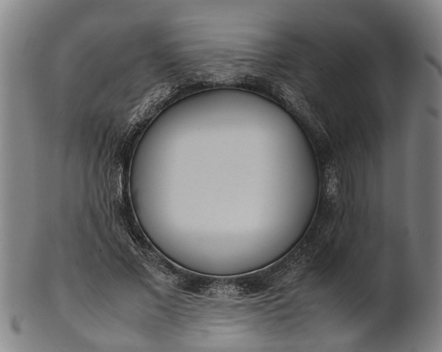 X0000101660685200807241418