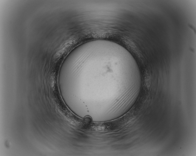 X0000101660687200807241418