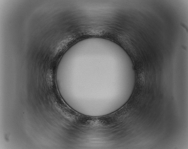 X0000101660688200807241418