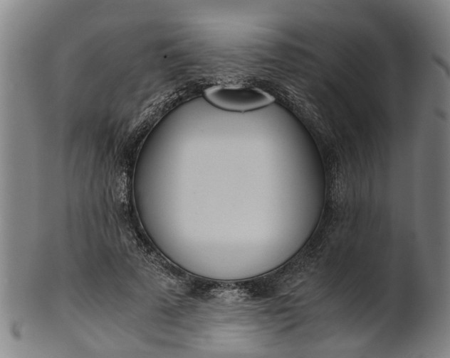 X0000101660689200807241418