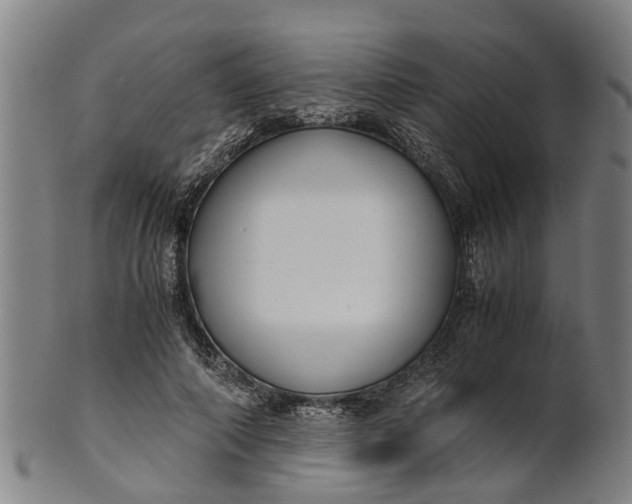 X0000101660690200807241418