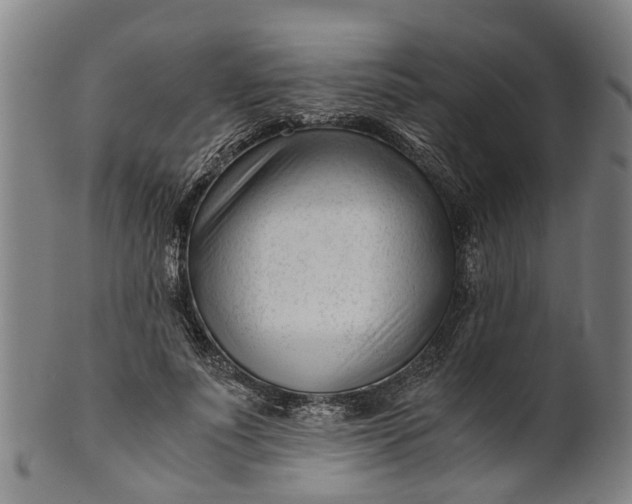 X0000101660691200807241418