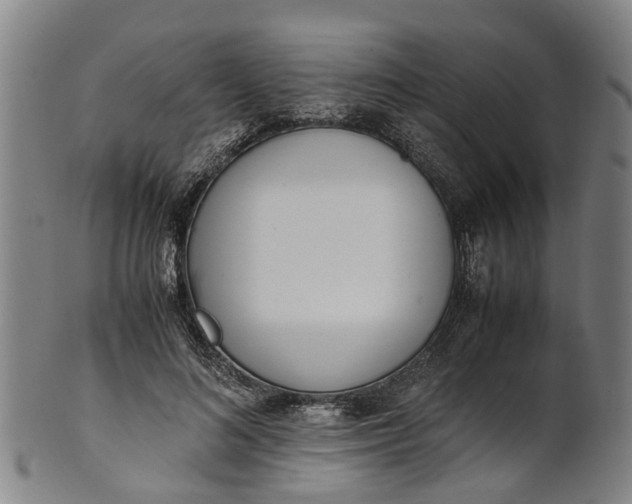 X0000101660692200807241418