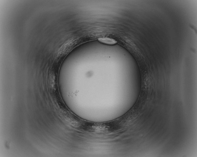 X0000101660693200807241418