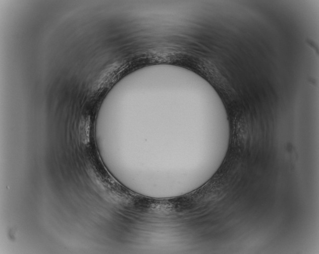 X0000101660694200807241418