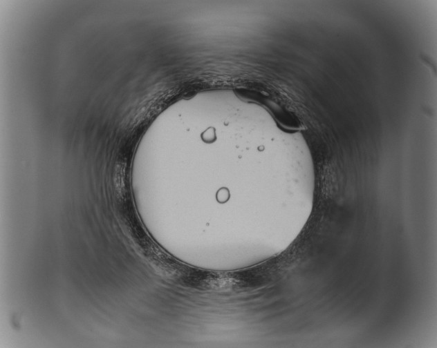 X0000101660695200807241418