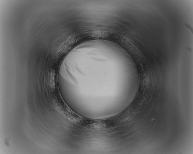 X0000101660696200807241418