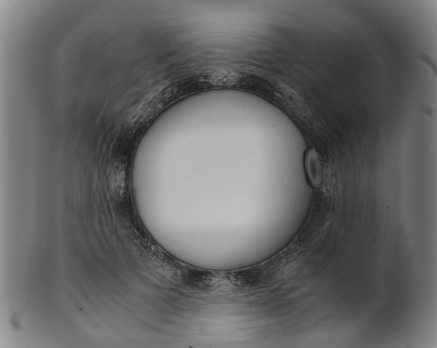 X0000101660697200807241418