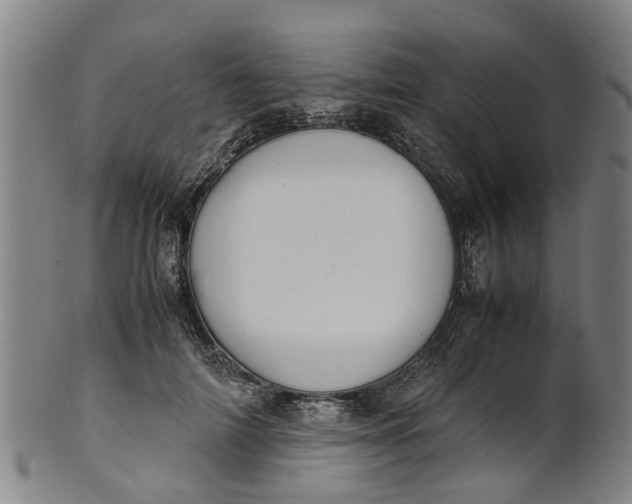 X0000101660698200807241418