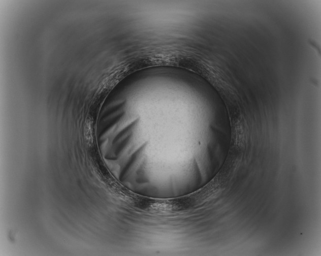 X0000101660699200807241418