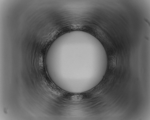 X0000101660700200807241418