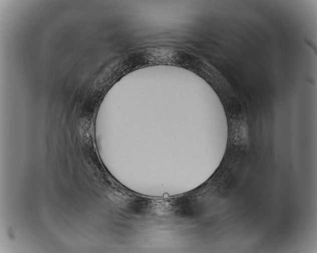 X0000101660701200807241418