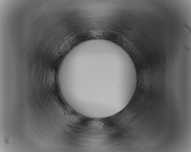 X0000101660702200807241418