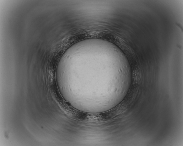 X0000101660703200807241418