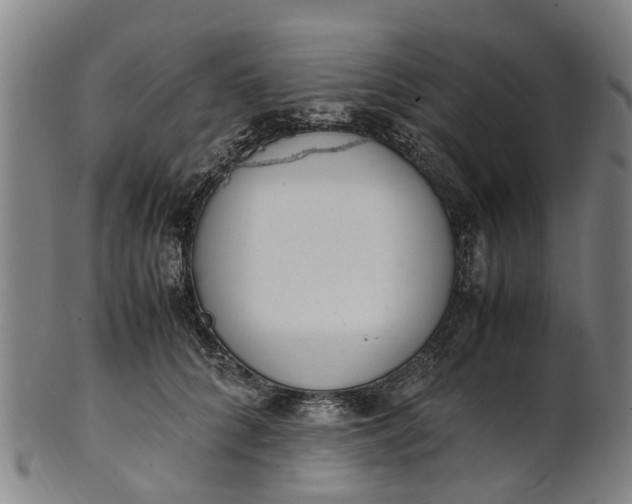 X0000101660704200807241418