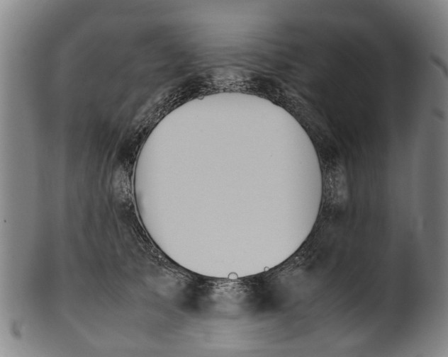 X0000101660705200807241418