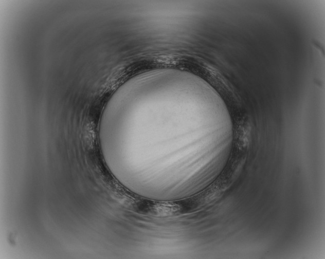 X0000101660707200807241418